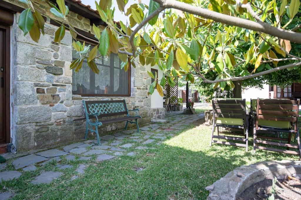 Traditionelles Appartement Athos Shadow Am Meer Paralia Sikias Luaran gambar