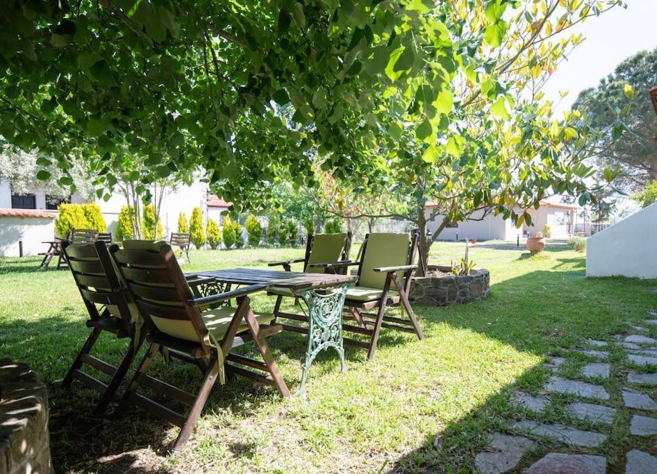 Traditionelles Appartement Athos Shadow Am Meer Paralia Sikias Luaran gambar